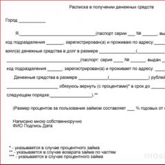 Borgov's ontvangstbewijs - registratieregels