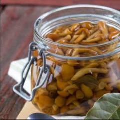 Recipes for pickled honey agarics Pickled apricots for the winter recipes with crop