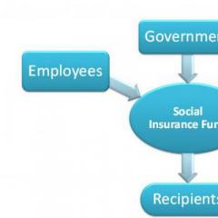 What is a social insurance fund?