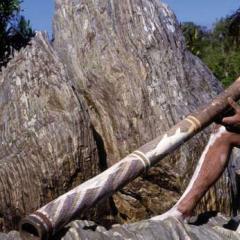 Didgeridoo - musical instrument - history, photo, video