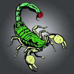 Scorpio - Share, love, sex, sex, healthy'я, характеристики
